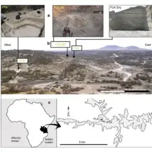 كتاب أصل الإنسان بين العلم و الدين pdf